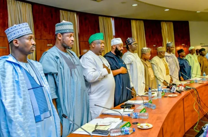 Crime Fighting: Northern Governors back creation of state police