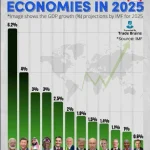 FACT CHECK: Is Nigeria 4th fastest-growing economy in the world in 2025?