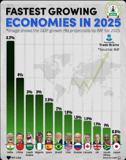 FACT CHECK: Is Nigeria 4th fastest-growing economy in the world in 2025?