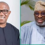 2027 Election: ‘The Future Of Nigeria Is In Peter Obi, Other Candidates Are Fake’ – PDP Chieftain, Sowunmi
