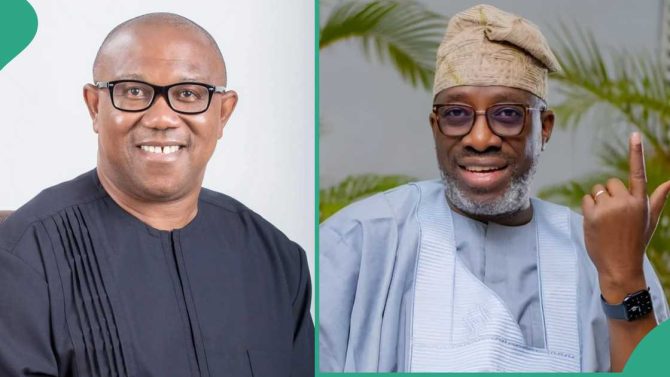 2027 Election: ‘The Future Of Nigeria Is In Peter Obi, Other Candidates Are Fake’ – PDP Chieftain, Sowunmi