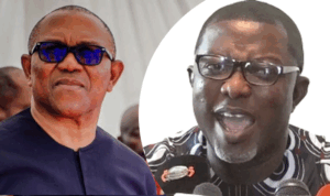 Coalition: Labour Party Moves to Expel Peter Obi – Arabambi