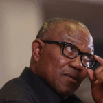 ‘We’re convening NEC meeting to expel Obi’ — LP chieftain Arabambi