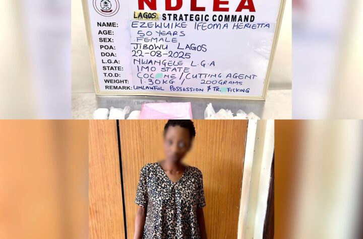 NDLEA Nabs Widow Using F@ke Pregnancy To Traffic C%caine