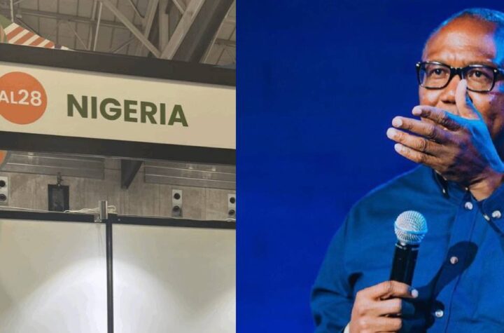 What Empty Nigeria booths in TICAD9 mean - Peter Obi reacts