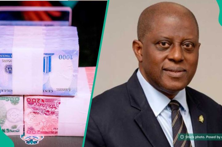 Naira Abuse Increases Printing Costs— CBN cries out