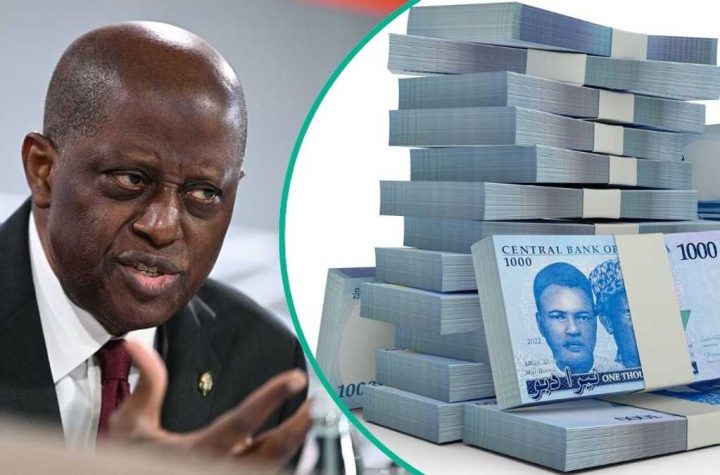 Experts Urge CBN to Issue Higher Naira Denominations of N10,000 and N20,000