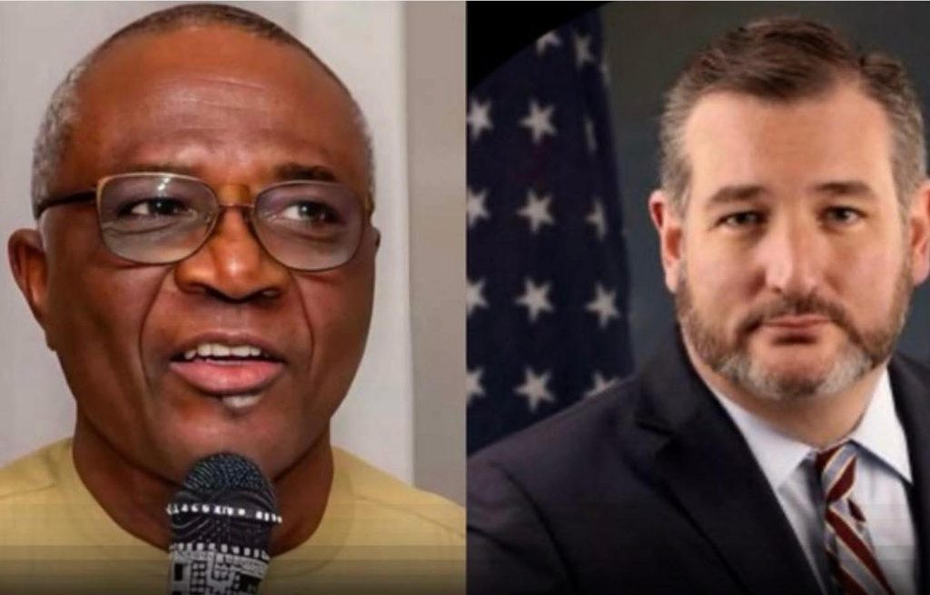 President Tinubu’s aide, Onanuga, Sl@ms U.S. Senator Ted Cruz Over Comments about Nigerian officials and religious issues