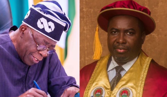 President Tinubu Swears In New INEC Chairman
