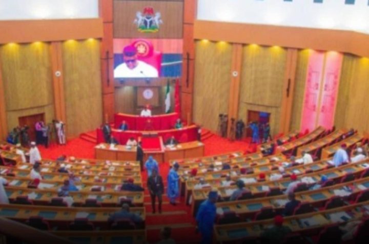 Senate Urges FG to Review Firearm Law to Allow Responsible Citizens Own G¥ns