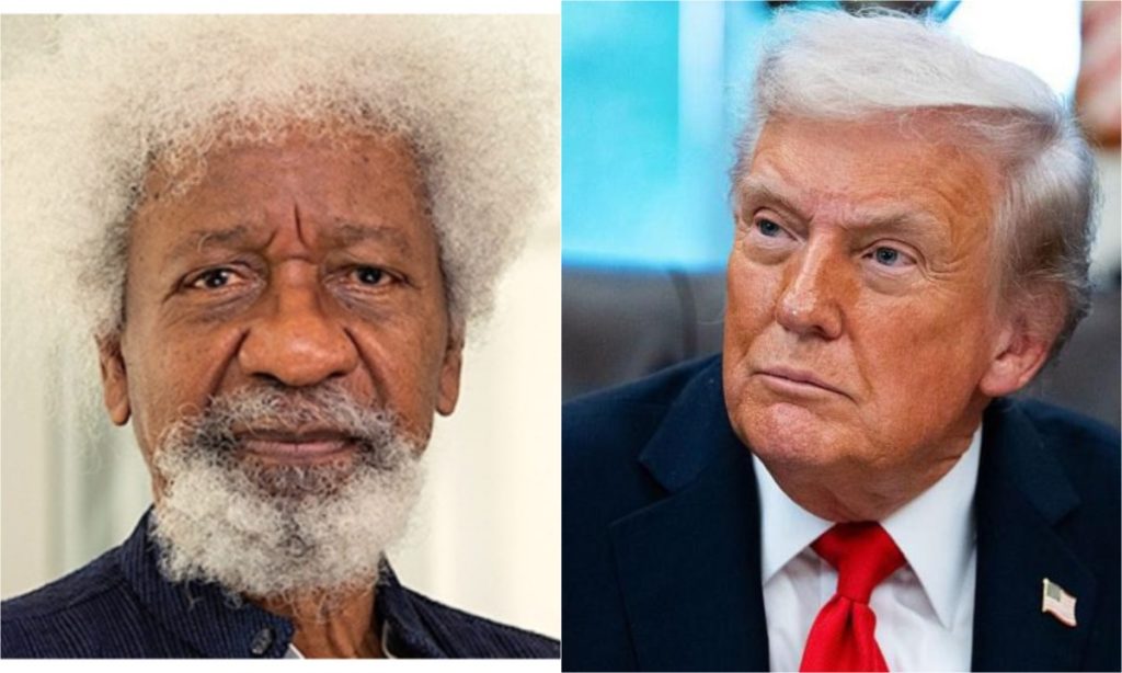 U.S. Permanently Bans WOle Soyinka From Entering the Country