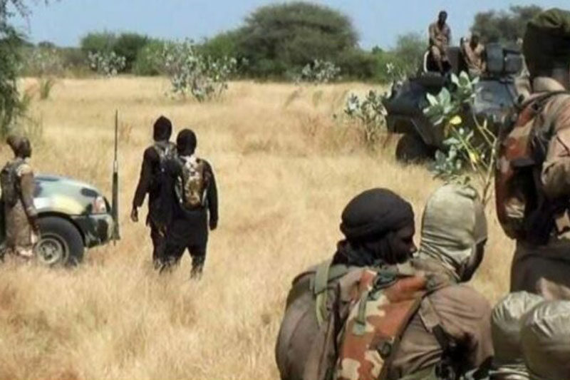 ISWAP Reportedly Ambush Nigerian Army Abd¥ct Nigerian General