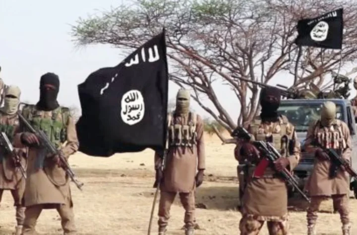 Names of Boko Haram members found in recruitment lists of security agencies – Idris WaseNames of Boko Haram members found in recruitment lists of security agencies – Idris Wase