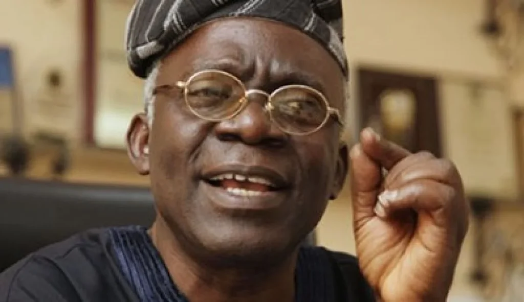 New tax laws can’t take effect until you resolve issies- Falana to Nigerian govt