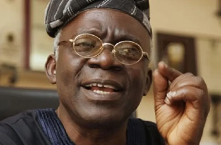 New tax laws can’t take effect until you resolve issies- Falana to Nigerian govt
