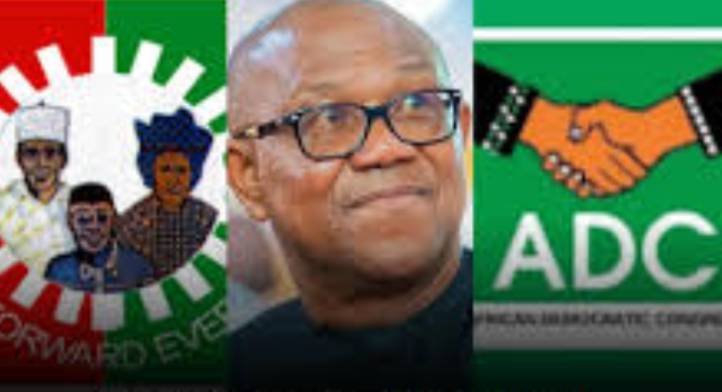 Defection: We support Peter Obi joining ADC – Labour Party