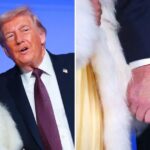 I love Nicki Minaj, she’s extremely beautiful— President Trump says as he compliments her long nails