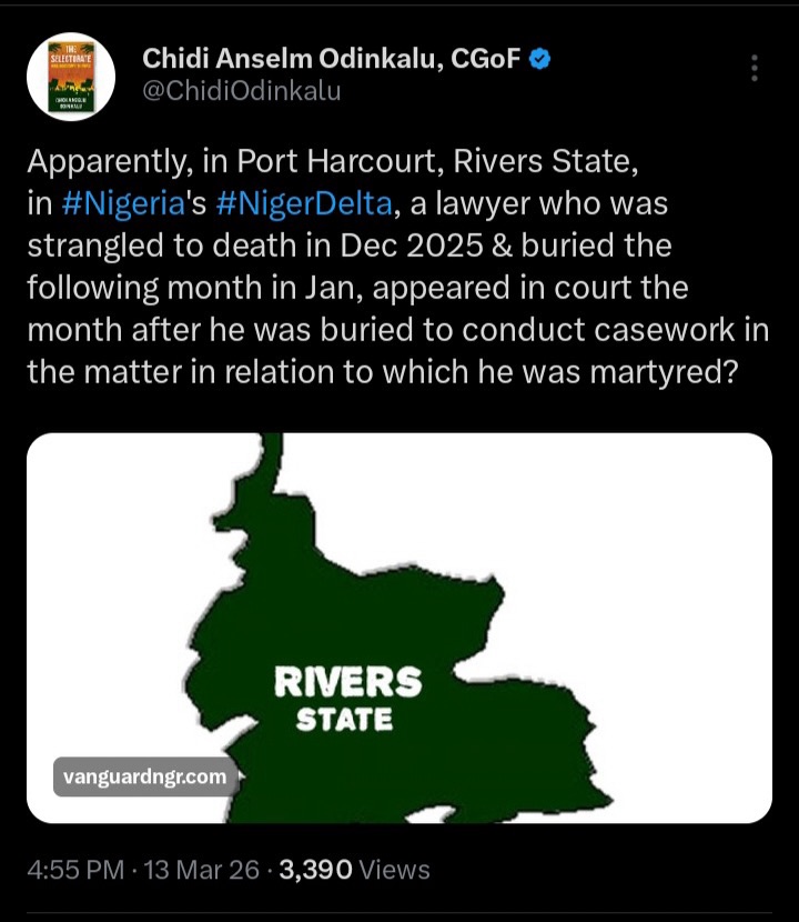 Chidi Odinkalu Reacts As Lawyer Who Was Reported Dead Appeared In Court To Conclude His Case