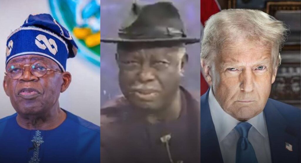 Pres. Tinubu is the most powerful president in the world. He is stronger than Pres. Trump - PDP Chieftain