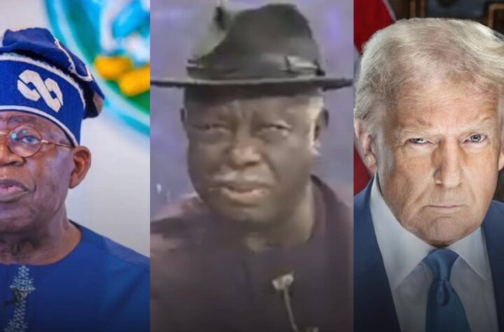 Pres. Tinubu is the most powerful president in the world. He is stronger than Pres. Trump - PDP Chieftain