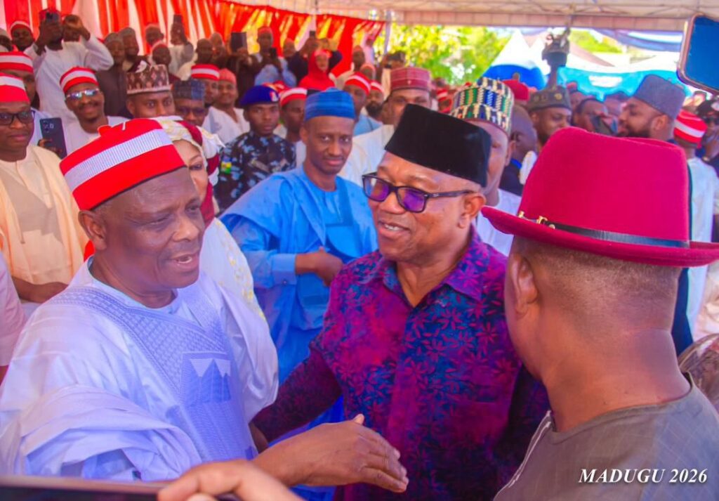 Kwankwaso has agreed to be Peter Obi’s running mate – Ibrahim Abdulkarim