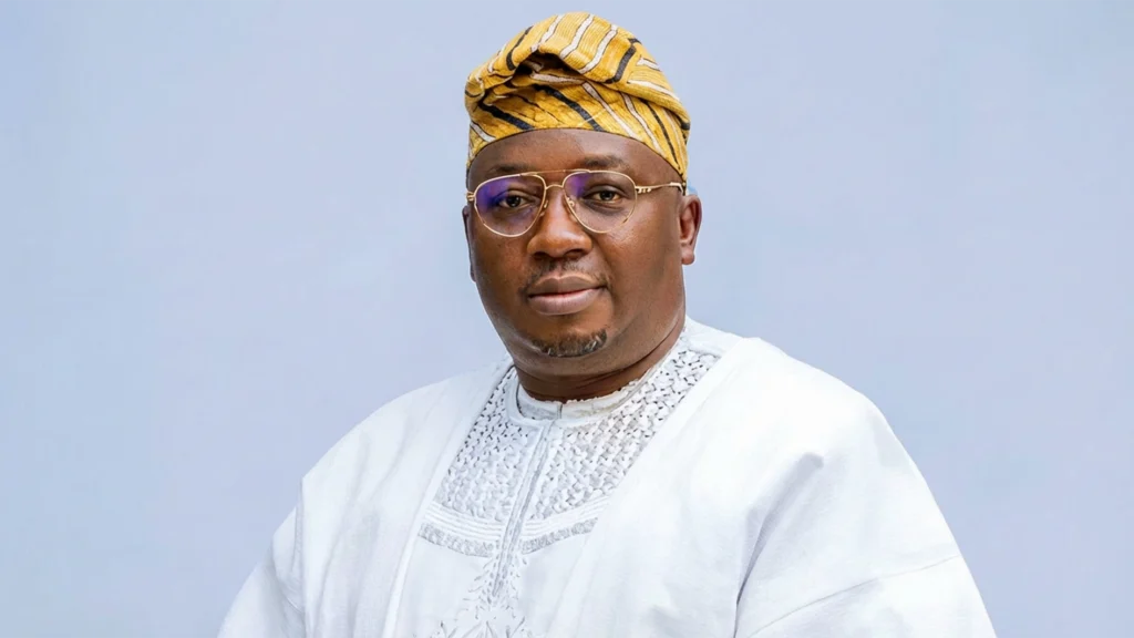 Why Minister of Power, Adebayo Adelabu Resigns