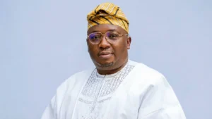 Why Minister of Power, Adebayo Adelabu Resigns