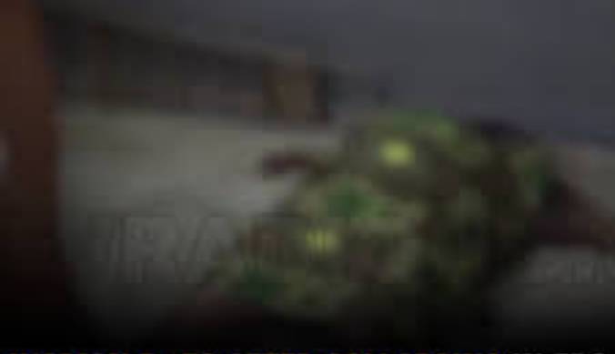 Woman D+es After Collapsing in Edo Court During Hearing, NDLEA Accused of Neglecting Her Without Medical Assistance