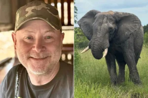 65-year-old safari park owner who said he’d rather be k+lled by an elephant than sh%%t one, d+es after an elephant att@cked him