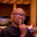 It Was Childish For Me To Drag Peter Obi – Former Obidient Director Apologises