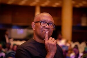 It Was Childish For Me To Drag Peter Obi – Former Obidient Director Apologises