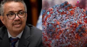 Hantavirus Outbreak on Cruise Ship Is Not Another COVID-19 Situation — WHO