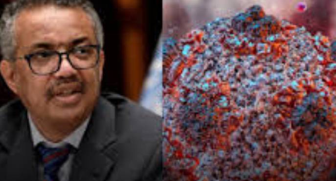 Hantavirus Outbreak on Cruise Ship Is Not Another COVID-19 Situation — WHO