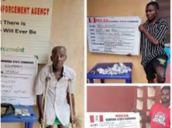 NDLEA Arrests Three Suspect With Disability, Including 60-Year-Old Man, For Dr¥g Tr@fficking