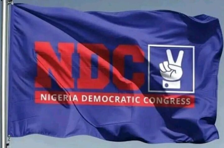 Enugu NDC primary: Aspirants cry foul as allegations of manipulation rock exercise