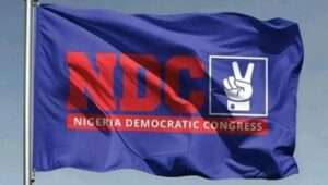Nomination forms: NDC gives discounts to women, youths, PWDs