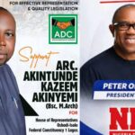 2027: Dumping ADC for NDC will affect Peter Obi's Integrity - Akin AKINYEMI