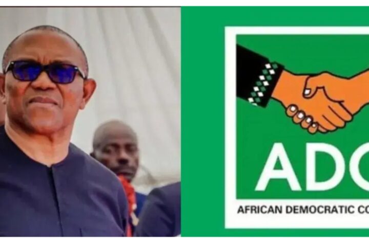 I didn’t leave ADC because Atiku or David Mark wronged me. I am not desperate to be president… — Peter Obi announces departure from ADC