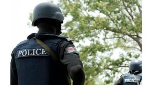 Oyo Police Captures K+dnap Gang Member, Frees 20-Year-Old Abd¥cted Farmer