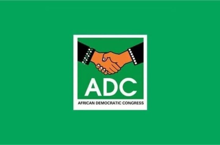 ‘You’re playing with fire’ – ADC spits fire over court’s deregistration order