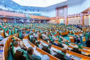 House of Representatives Passes State Police Bill as 289 Lawmakers Back Decentralised Policing