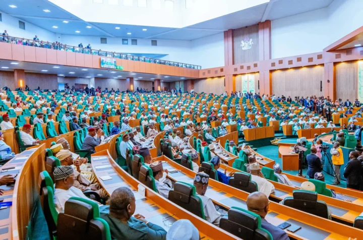 House of Representatives Passes State Police Bill as 289 Lawmakers Back Decentralised Policing