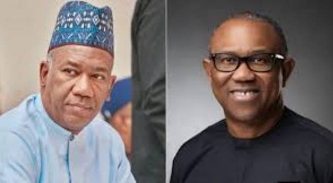 I Joined Peter Obi Out of Sympathy After Three Top Politicians Rejected Him — Former Labour Party, VP Candidate, Datti Baba-Ahmed