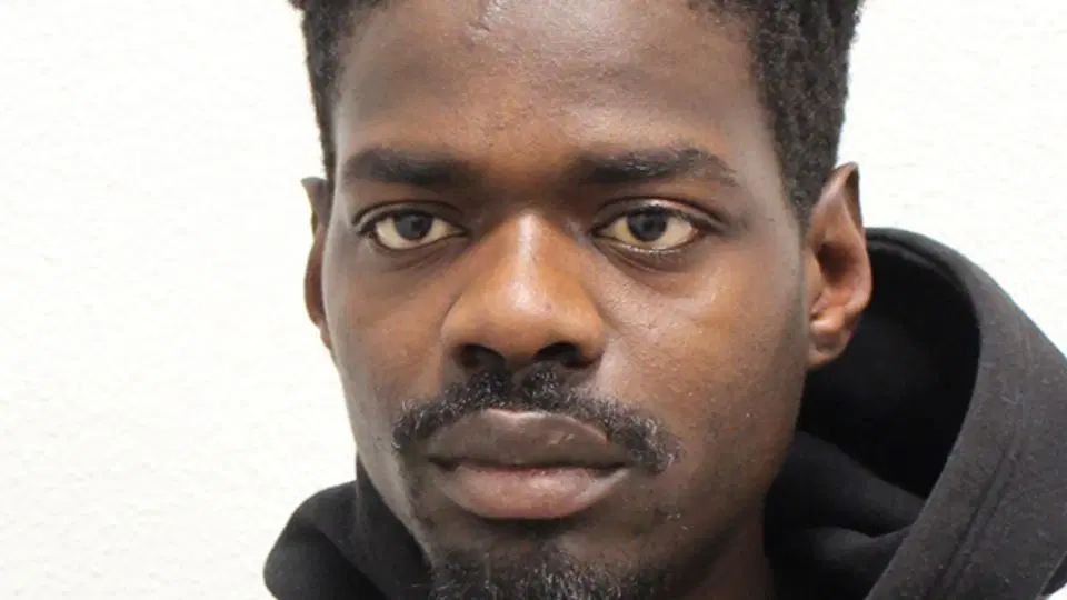 Prison Break: Manhunt Launched as Nigerian Inmate Escapes Prison Van in London