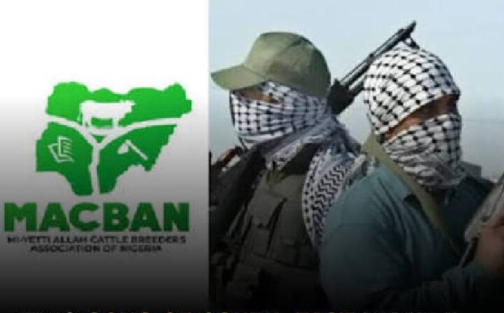 Two Sons of South-East Miyetti Allah Chairman K+lled as G¥nmen Sl@ughter 40 Cattle in Enugu Community