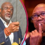 Peter Obi Is a Regional Champion And No Regional Champion Can Be President Of This Country — Senator Dino Melaye
