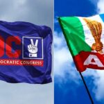 2027: Name Elon Musk campaign DG, we’ll defeat you silly – NDC to APC