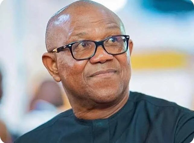 2027: I’ll send Nigerian youths back to farms and small-scale businesses, if I’m elected president — Peter Obi