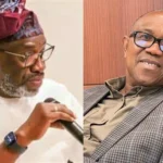 2027; Anybody Who Attempts To Release Results And Declare Winners Other Than INEC Would Be Taken For Treason — Segun Sowunmi Warns Peter Obi And Other Politicians