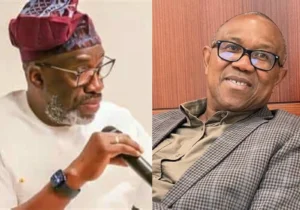 2027; Anybody Who Attempts To Release Results And Declare Winners Other Than INEC Would Be Taken For Treason — Segun Sowunmi Warns Peter Obi And Other Politicians